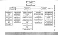 EVIDENCE DIAGRAM.pdf